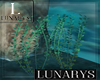 plants ocean