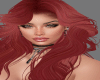 HAIR -RUIVO-REDHEAD 1411