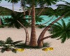 LWR}Summer Beach Palm