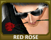 Red Rose