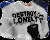 Destroy
