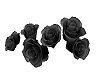 Black Hair Roses