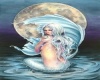 moon light mermaid