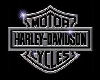 ! LQT HarleyDavidsonClub