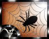 (A) Spider Web