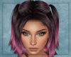 Harpinna Pink Frost