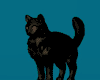 Black Cat Pet Bestie