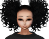 # Curly Ponys Black M/F