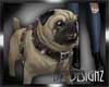 [BGD]Pug Dog Animated