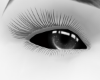 𝒩. Coal Eyes BO F/M