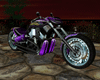 Purple Viper Drag Bike