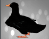 Black Duck .F