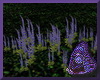 Purple Ground Flowers