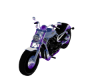 Butch Lesbian Motorcycle