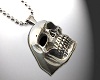 Skull stainless