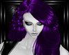 purple haleigh hairs