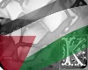 Palestine flag (m/f)