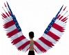 American Flag Wings