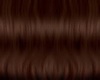 Brown Hair 2