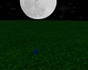 Full Moon Field V1