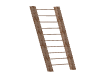 old ladder