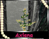 AXL  Clematis Viticella