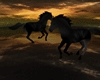 Dj Light Horses 2