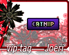 j| Catnip Cataria