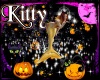 Kitty & pumpkin particle