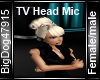 [BD] TV Head Mic