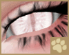 ~AM~ Jasar Eyes2 v1