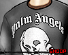 PALM ANGLS TSHIRT
