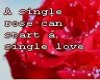 A Single Rose..