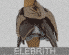 Elebrith 01 Pelvis Brn