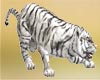 Tiger Guard White Anim