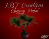 IBT-Cherry Palm