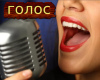 voice 2