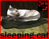 animated sleeping cat