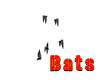 Bats with sound