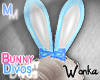 W° Blue Bunny Set.M