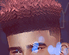 ㊕ Boxed Curls Rose