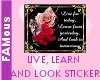 Live Learn Look