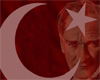 Turkish Flag