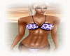 ;ba;purple DOTCHA kini