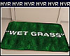 "Wet Grass"