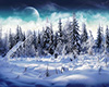 (LIR) Snowy Forest.