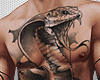 Z Snake Full Body Tattoo