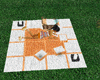 [NFA]picnic orange