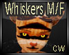 Animal Whiskers M/F