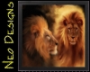 lions in  frame derivabe